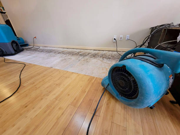 Professional Water Extraction technician working in Highland, IN